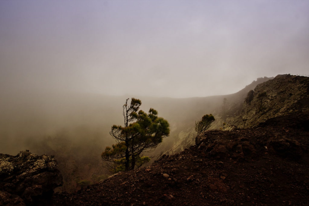La Palma - view into a vulcano